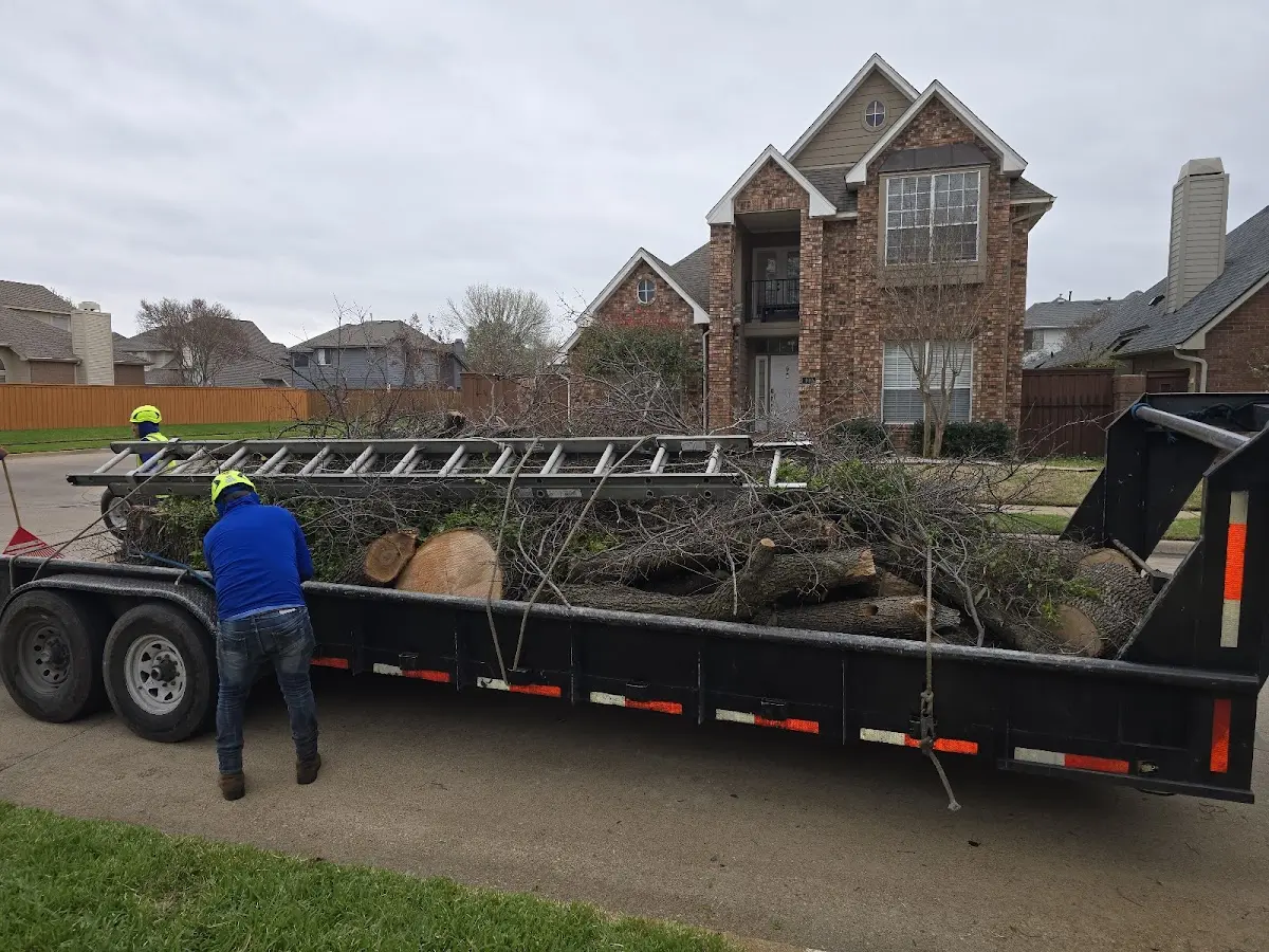 Expert Tree Removal with proper safety equipment in Fowlerton